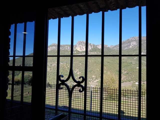 Vivienda Rural Casa Sofia Villa Ubrique Exteriör bild